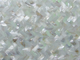 Sea Shell Mosaic Tile 003