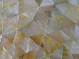 Mother of Pearl Mosaic 006