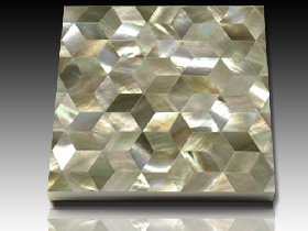 River Shell Mosaic 021