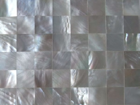 Mother of Pearl Mosaic 023