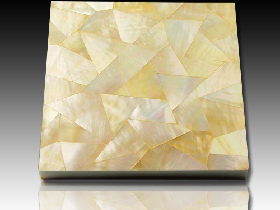 River Shell Mosaic 017