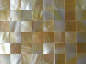 Mother of Pearl Mosaic 005