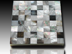 River Shell Mosaic 004