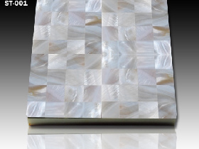 White Shell Mosaic Tile