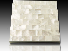 River Shell Mosaic 009