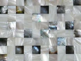 Mother of Pearl Mosaic 003
