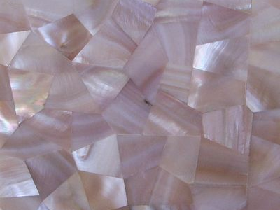 Sea Shell Mosaic Tile 001