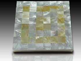 River Shell Mosaic 020