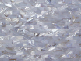 Mother of Pearl Mosaic 010