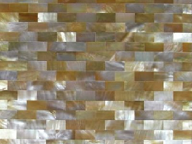 Mother of Pearl Mosaic 004