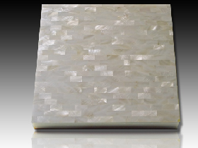 River Shell Mosaic 010