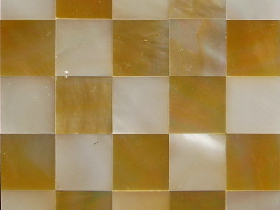 Mother of Pearl Mosaic 013