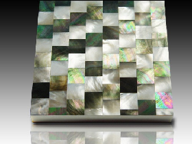 River Shell Mosaic 013