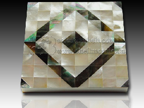 River Shell Mosaic 019