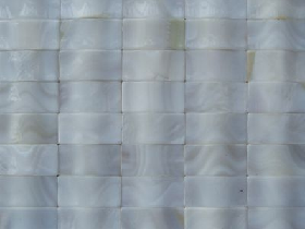 Mother of Pearl Mosaic 017