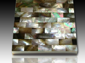 River Shell Mosaic 005