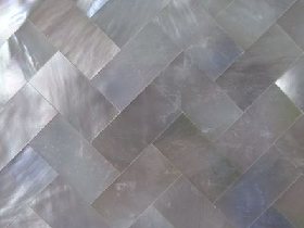 Mother of Pearl Mosaic 026