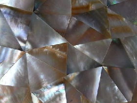 Mother of Pearl Mosaic 020