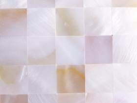 Mother of Pearl Mosaic 011
