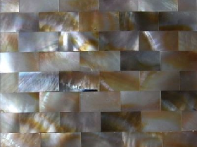 Mother of Pearl Mosaic 018